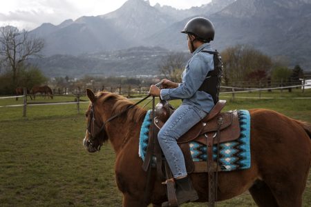 Horse riding lessons and rides on horseback and camelback